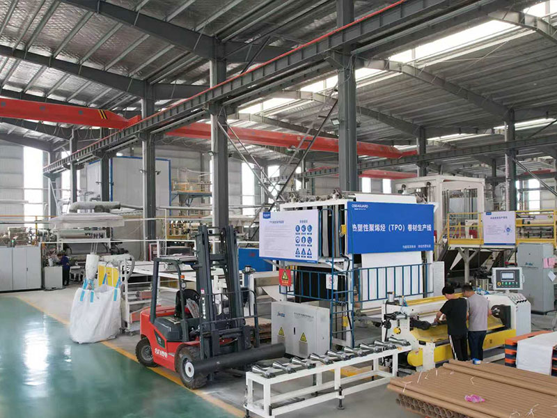 TPO Specific Production Equipment