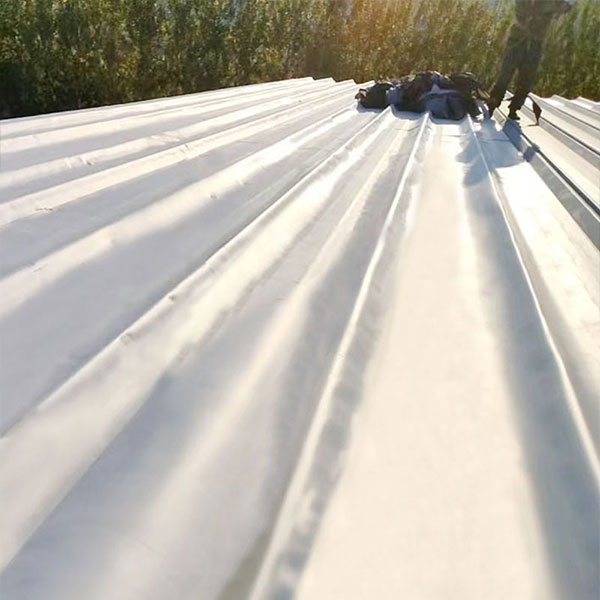 Self-Adhered TPO Waterproofing Membrane